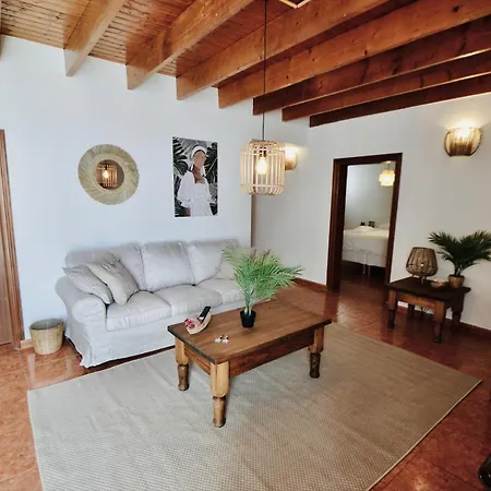 Apartment Palm Leaf Mogan