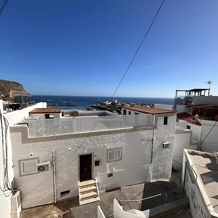 Palm Leaf Mogan Apartment