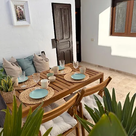 Apartment Palm Leaf Mogan