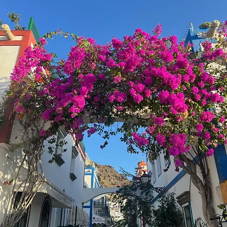 Palm Leaf Mogan * Puerto De Mogan