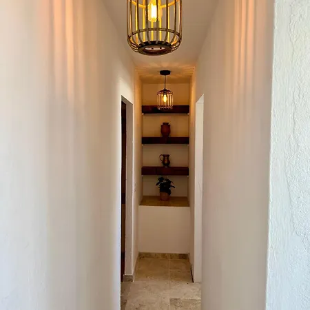 Apartment Palm Leaf Mogan