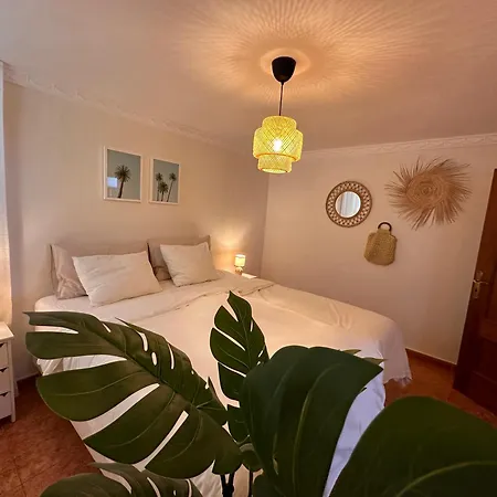 Apartment Palm Leaf Mogan
