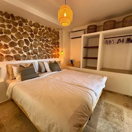 Apartment Palm Leaf Mogan *