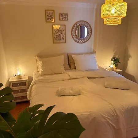 Apartment Palm Leaf Mogan